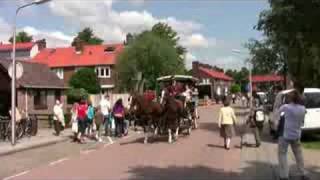 Paardenmarkt Alblasserdam 2008 [upl. by Ibot]