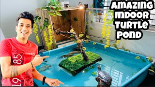 Turtle Indoor Pond  Turtle amp Oscar Pond  Indoor Pond Ideas  Turtle Pond Set up  Indoor Pond [upl. by Nelubez]