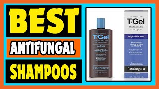 Antifungal Shampoos Top 5 Best Antifungal Shampoos Review [upl. by Piks783]