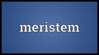 Meristem Meaning [upl. by Anaiek124]