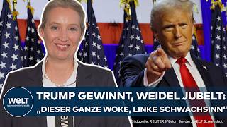 USWAHL 2024 Donald Trump  politisches Vorbild AfDChefin Alice Weidel zeigt ihre Bewunderung [upl. by Fedak]