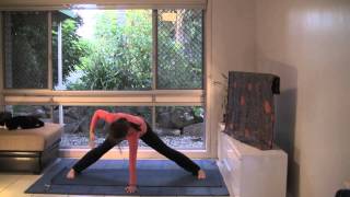 Hatha Yoga for Balance and Harmony 35 minute full class [upl. by Ennayehc86]