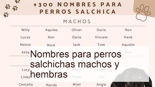 300 nombres para perros salchichas machos y hembras  ¡Ideas originales [upl. by Howarth]