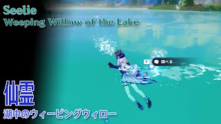 【原神】仙霊フォンテーヌ湖中のウィーピングウィロー（56502）SeelieWeeping Willow of the LakeFontaine [upl. by Patrice141]