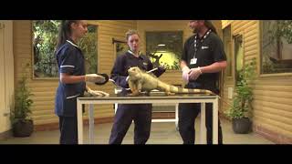 Moulton College  Animal Welfare Courses [upl. by Josee]