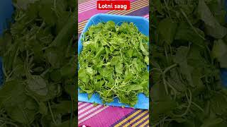 Testy lotni saag [upl. by Francesca14]