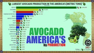 BIGGEST AVOCADO PRODUCERS IN THE AMERICAS [upl. by Resarf]