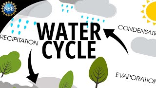 Water Cycle  How the Hydrologic Cycle Works [upl. by Drannek991]