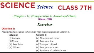 TRANSPORTATION IN PLANTS AND ANIMALS  NCERT SOLUTION class 7th [upl. by Ecinaej]