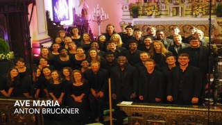 Ave Maria Live at the Cantarode Festival 2017 [upl. by Gurtner546]