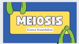 simple and easiest way of meiosisstages crossing over diffbw meiosis1 and 2The Vibes [upl. by Tenom656]