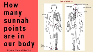 sunnah points How many Sunnah points are in our body [upl. by Trebmer]