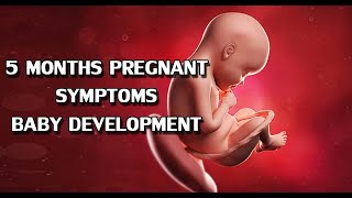 What Happens at 5 Months of Pregnancy 5 Months Pregnant Symptoms and Baby Development [upl. by Burnight]