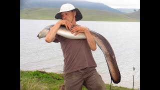 Catch amp Release Eels in Australia 2015 Part One Cold Water Dams Running time  59 minutes [upl. by Verene]