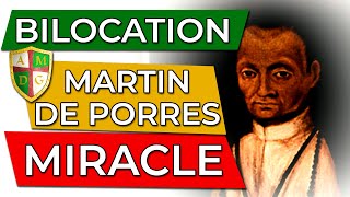 St Martin de Porres Bilocation Miracle  Passionately Catholic with Anthony Digmann [upl. by Ellerd133]