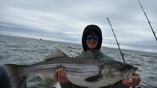 Trophy Rockfish SeasonMaryland 2017 [upl. by Ssew]