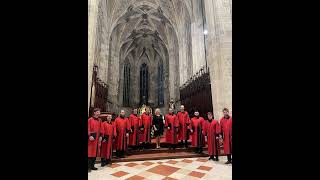 Kyrie eleison VI  Gregorian chant Schola cantorum Rosenbergensis Slovakia [upl. by Gathard]