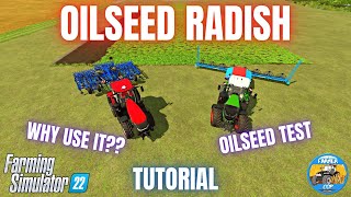 OILSEED RADISH GUIDE amp TEST  Farming Simulator 22 [upl. by Onek]