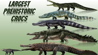 10 Biggest Prehistoric Crocodiles Ever Discovered 2021 [upl. by Rahsab844]