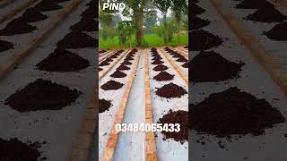 vermicompost worms segregation viralvideo wormfarm agriculture [upl. by Hadwin780]