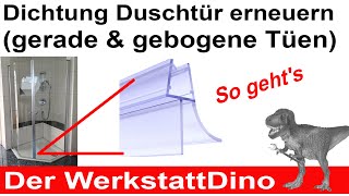 Duschtür Dichtung erneuern [upl. by Tegan]