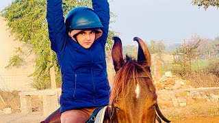 Horse riding canter video dekhe  dekhe horse riding academy ka fully video  horseriding horse [upl. by Adnavoj240]