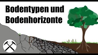 Bodentypen und Bodenhorizonte  Bodenkunde 3 ⛰️ [upl. by Ainoet]