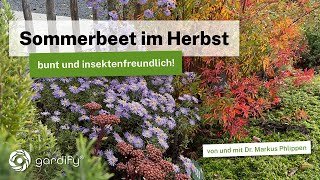 Sommerbeet im Herbstkleid ideal für sonnige trockene Standorte bunt und insektenfreundlich [upl. by Wier]