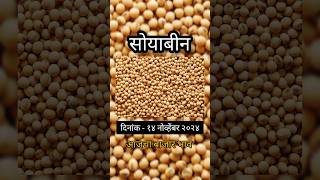 Ajche soyabean bajar bhavआजचे सोयाबीन बाजार भावsoyabean ratesoyabean सोयाबीनबाजारभावआज [upl. by Oikim]