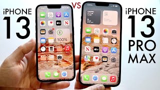 iPhone 13 Vs iPhone 13 Pro Max In 2023 Comparison Review [upl. by Sarita264]