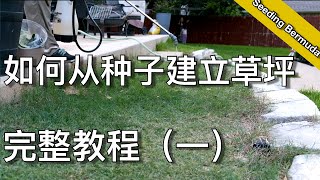 如何从种子建立完整草坪（一） how to grow grass from seed  尅尅amp凯西的后花园 [upl. by Jesus]