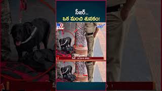 iSmart News  సీజర్ ఒక మంచి శునకం  Police Dog  TV9 [upl. by Bred254]