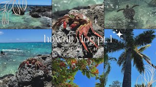 Hawaii part 1 KailuaKona Hawaii vlog [upl. by Odragde347]