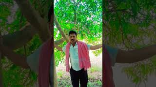 song music soundar sopana bollywood bollywoodsongs [upl. by Notrub]