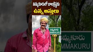 నిమ్మకూరు లో బాలకృష్ణ ఆస్తులు  Balakrishna Assets in Nimmakuru Village  NTR  Tollywood Nagaram [upl. by Wylen]