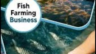 Fish framing business How to start fish farming business bestbusiness2024businessgrowth [upl. by Nahtanha]