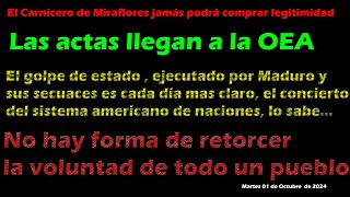 LAS ACTAS ESTÁN EN LA OEA El golpe de estado se confirmaEl mundo ha sido testigo [upl. by Adnolahs]