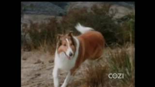 Lassie  Episode 554  quotLassies Busy Dayquot  Season 17 Ep 15  01171971 [upl. by Arodoet]