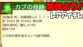 【初心者必見】カブの奇跡入手方法【ルーンファクトリー４スペシャル】 [upl. by Maddeu]