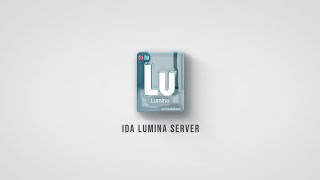 Private Lumina Server  Overview [upl. by Llehcram654]