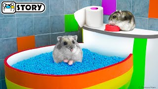 The Awesome Hamster Ball Maze 🐹 Homura Ham Pets [upl. by Eniamreg]