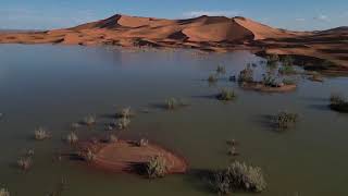 Flash Floods in Sahara Desert  Climate Change Impacts nature [upl. by Newhall]