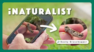 Identify Nature With iNaturalist [upl. by Nole722]