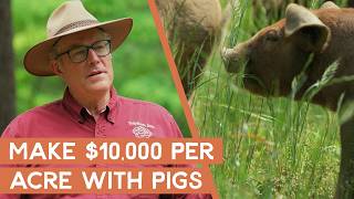 How to take marginal land and turn it into 10000acre with pigs  Joel Salatin [upl. by Atterual]