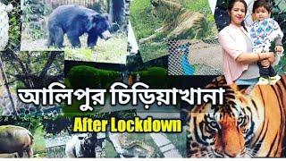 Kolkata Alipore Zoo Tour 2022  Alipur Chiriakhana Visit  Zoological Garden Tour 2022 [upl. by Idou]