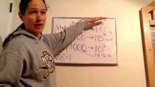 Saxon Math Algebra 1  Lesson 29  Negative Exponents  Zero Exponents [upl. by Anaj]