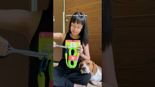 Unboxing handsfree dog leash impian [upl. by Tips]