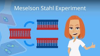 Meselson Stahl Experiment einfach erklärt [upl. by Ly]