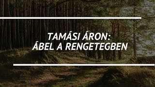 Tamási Áron Ábel a rengetegben  regényelemzés 8 osztály [upl. by Ob]