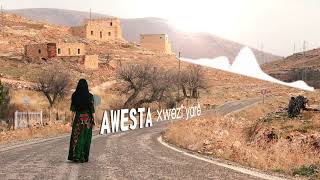 Avesta  Xwezî Yarê  kaniwar [upl. by Damales287]